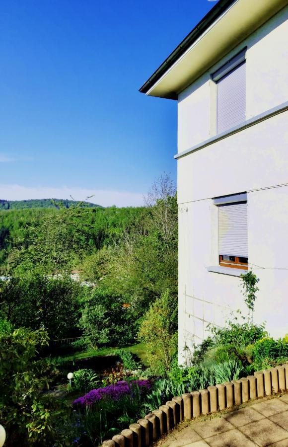 Ferienwohnung Albstadt Panorama Eksteriør billede