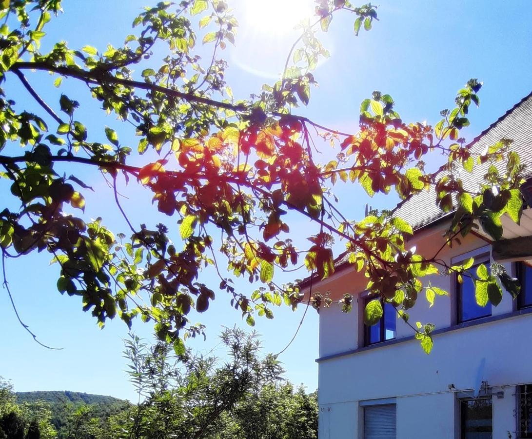Ferienwohnung Albstadt Panorama Eksteriør billede